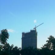 186的个人资料头像