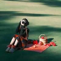 我的房东是房东头像