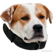 失控的括约肌的个人资料头像