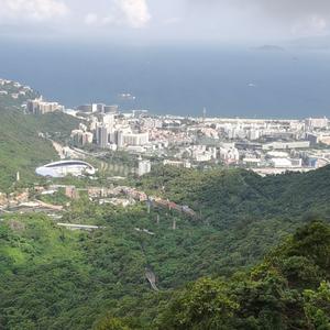 网站访问量头像