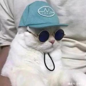 巧克力色的小星头像