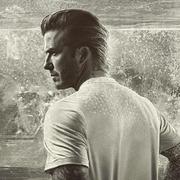 Saomonite的个人资料头像