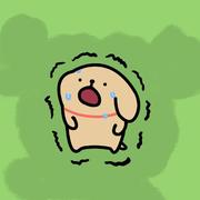 用户9255990554853的个人资料头像
