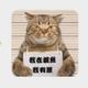 用户6520192702512头像