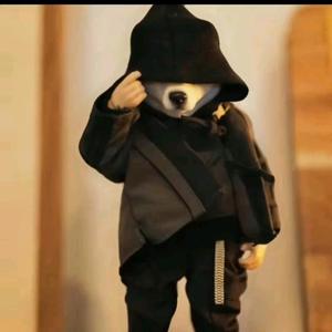 大吕csgo头像