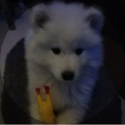 1315007322的个人资料头像