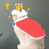 溪流锋锐mzj头像