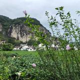 非凡梦想家0E头像