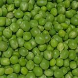 外向奶茶8l3头像