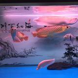 平安是福1911378143742头像