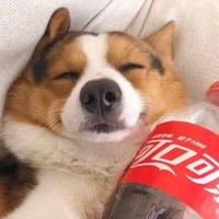 用户9848693834115头像