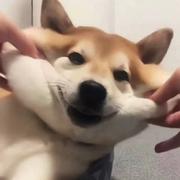 用户6841834774470的个人资料头像