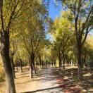 learn本尊的个人资料头像