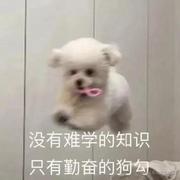 Hanser的个人资料头像