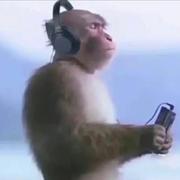 农民工前端的个人资料头像