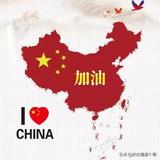 大傻瓜100头像