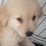 人生如梦141309711头像