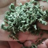 足智多谋小猫0N3头像