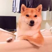 Loser505的个人资料头像