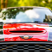 Tiaotiaoniao的个人资料头像