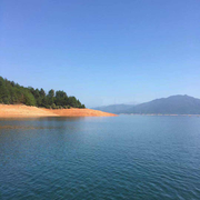 MK085的个人资料头像