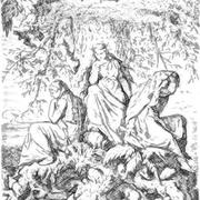 AllAuE的个人资料头像