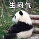 乌鸦坐飞机rx头像