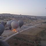 优雅小羊Y0头像