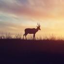 何亦云的个人资料头像