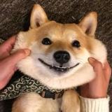 中国加油🇨🇳头像