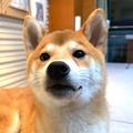 用户6685406256713头像