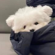 用户9347818493141的个人资料头像