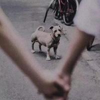 兴科启智汽车头像