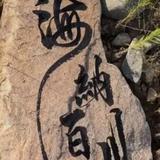 米乐熊星头像
