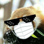 杨提督591的个人资料头像