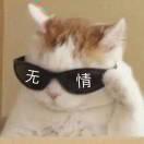 葡萄籽的个人资料头像