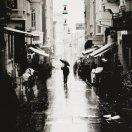 安静本尊87841的个人资料头像