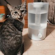 hughdong的个人资料头像