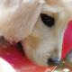 天天30538 · 领克02车主·车龄5年头像