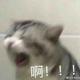 尛銩头像