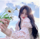 全是石头啊的个人资料头像