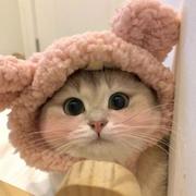 monoiii的个人资料头像