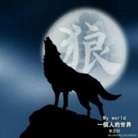 漂泊无定766头像