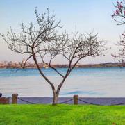 三丶月的个人资料头像