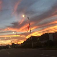 拜里个呆门头像