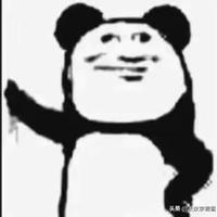 热闹枫叶bG头像