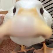 文胜_的个人资料头像
