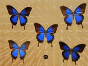 再睡五分钟就起的个人资料头像