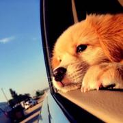 追梦人601的个人资料头像