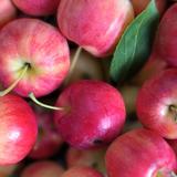 手机用户7021277690头像